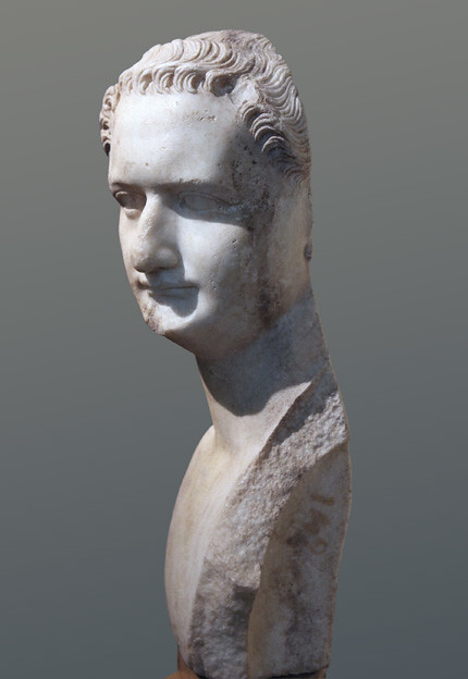 Portrait of the emperor Domitian, 3/4 left (MC 1156)