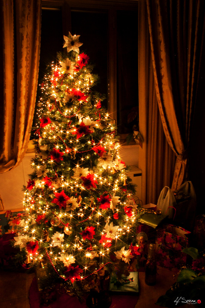 Buon Natale In Gaelico.Christmas Time Buon Natale Afrikaans Geseende Kersfees Flickr