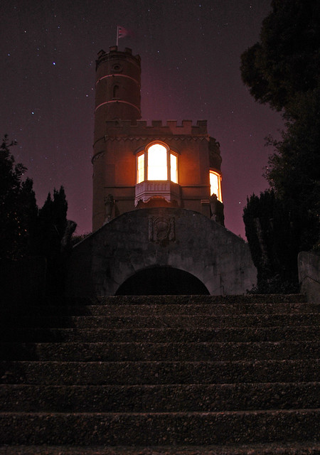 Luttrells Tower At Night