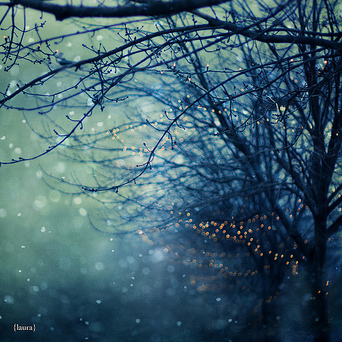 Silent Night | by Laura L. Ruth