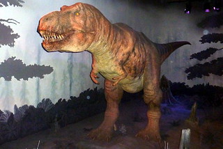London January 2012 - Natural History Museum - dinosaur | by muffinn