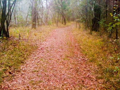 nature outdoors florida hiking trails hike marianna greenway hinson jacksoncounty chipolariver floridahikes
