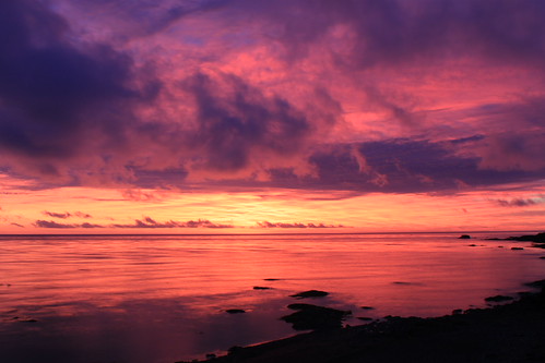 Morning glory by Marc Frenette, 