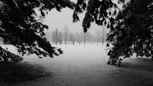 sentieri sotto la neve by malandro da fotografia