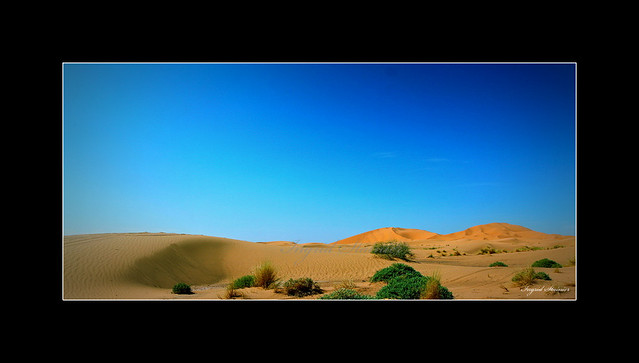 258. Dunes of Erg Chebbi, Merzouga, Morocco