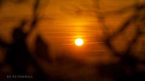 forest sunrise germany olympus wald sonnenaufgang 105mm neckarsulm badenwürttemberg obereisesheim dornet