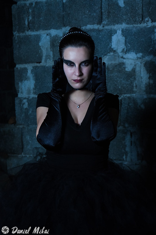 Black Swan by Daniel Mihai