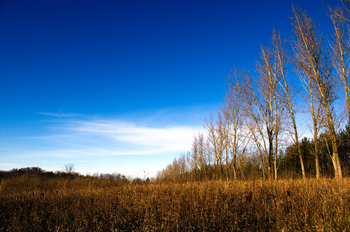 blue trees winter sky clouds contrast goldenhour