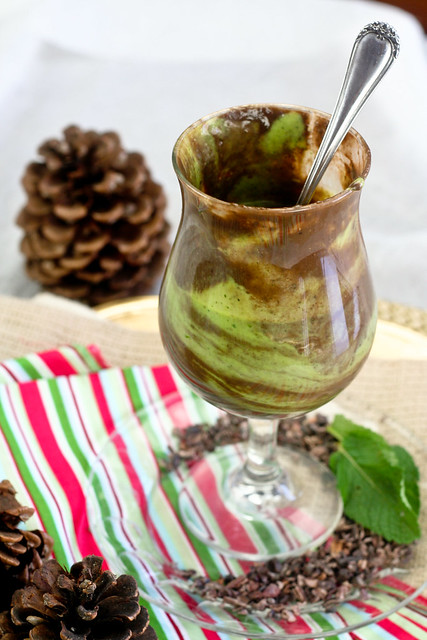Chocolate Mint Green Smoothie-14