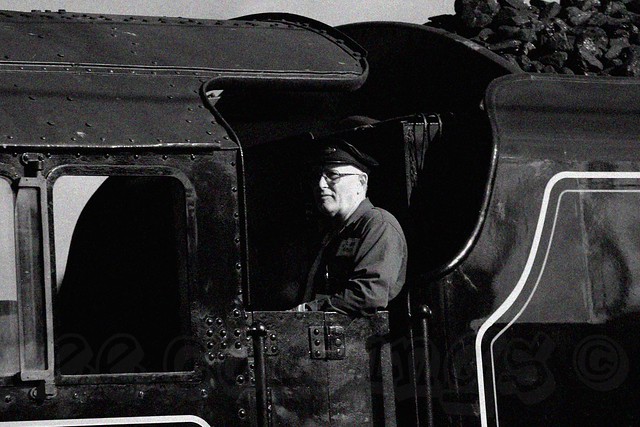 The Waverley Steam Train Driver