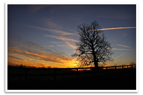 sunset sky tree silhouette clouds ky contrails burroak nearmidway