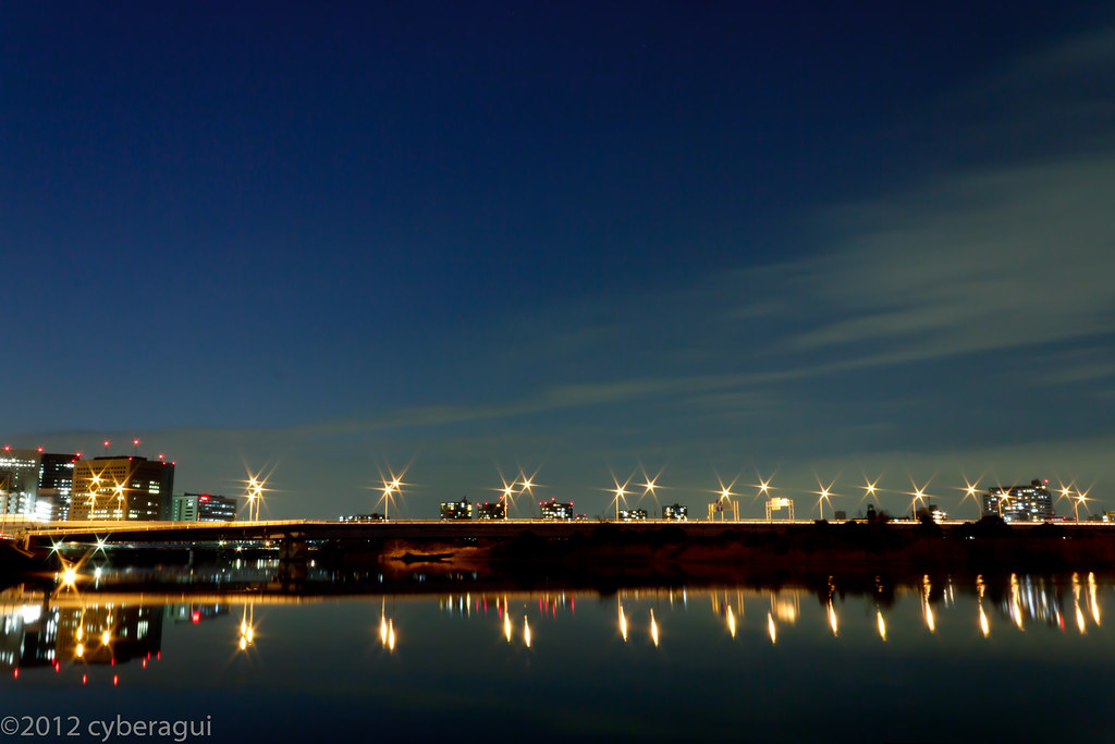14/365 | Shot on one hour after sunset, alone a Tamagawa Riv… | Flickr
