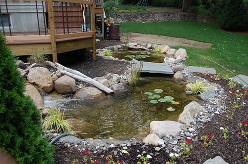 Water (46) | by BergenCountyOutdoorLiving