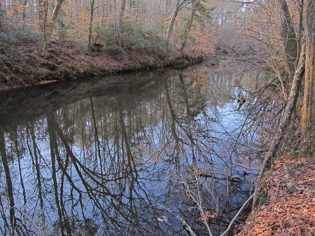 Dam Site Loop Trail
