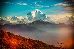 Vintage Dhaulagiri, 7th highest peak on earth. #mountaincrushmonday #Nepal