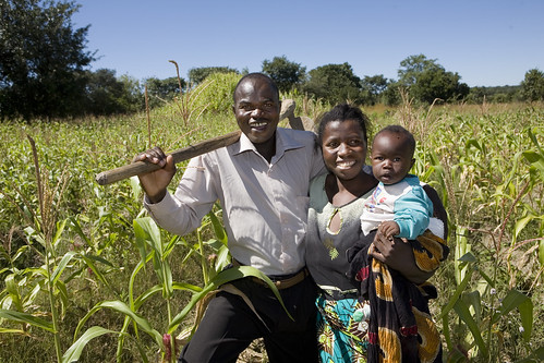 poverty africa farm aid hunger zambia heifer heiferinternational heiferzambia