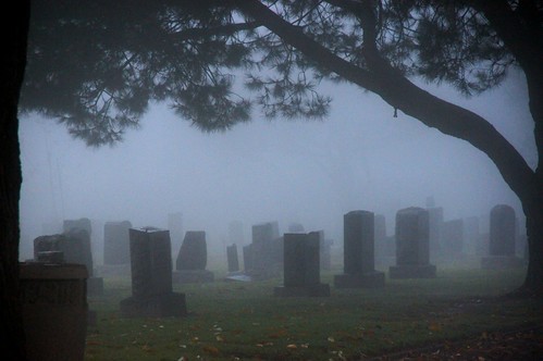 california ca trees cemetery fog santamonica foggy headstones monuments