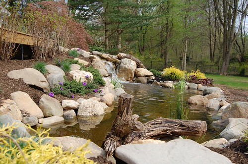 Water (7) | by BergenCountyOutdoorLiving