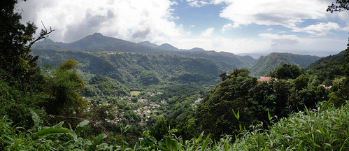 panorama nature forest rainforest paradise unesco dominique unescoworldheritage dominica caribbeansea lesserantilles commonwealthofdominica natureislandofthecaribbean