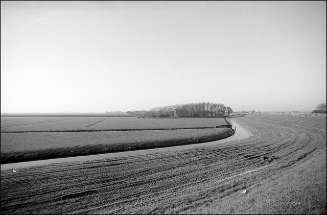 Ursem polder landscape /1