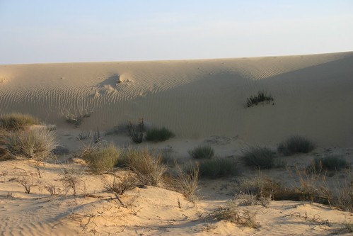 Border Desert Near Gaga | by socialpyramid