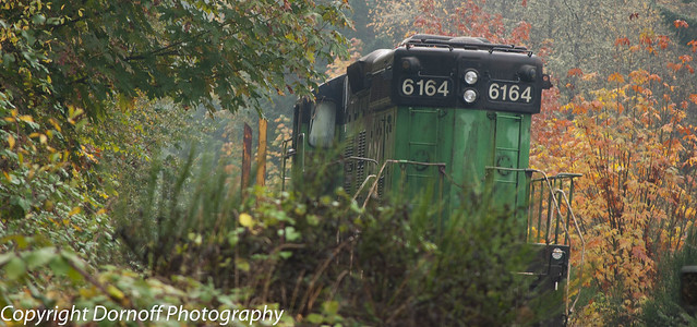 Abandoned Locomotive