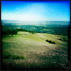 Windy Hill Open Space Preserve