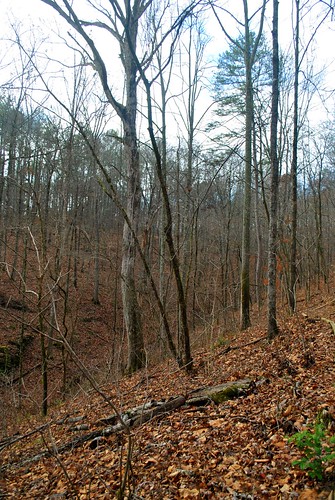 park mill georgia dallas war state historic civil american ravine battlefield picketts