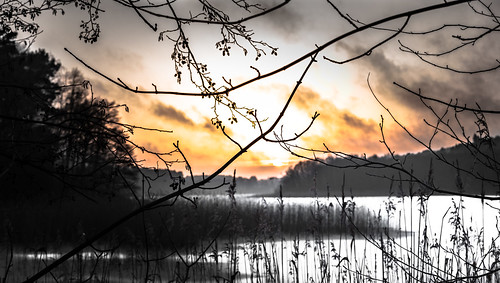 winter frozen lake sony sunset snow decent silhouettes trees branches