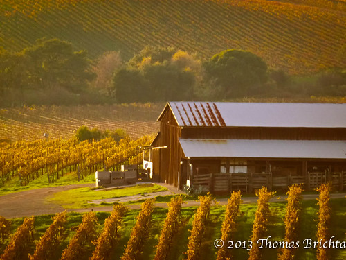 california leica sunset color fall colors field 30 barn countryside vineyard vines fallcolor thomas v grapes napa lux brichta tom911r7 thomasbrichta vlux30