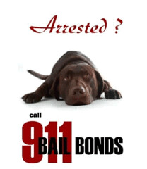 bail bonds
