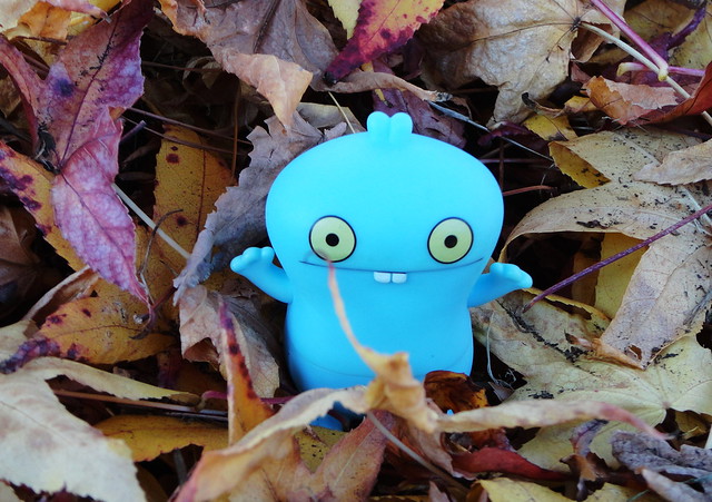 babo....king of the leaves