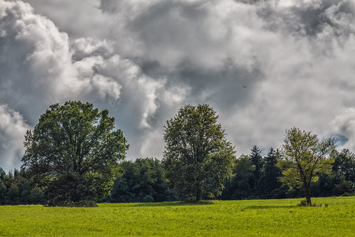 trees summer sky clouds landscape bavaria day eagle cloudy meadow lightroom4beta
