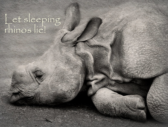 Let sleeping rhinos lie
