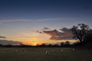 Saddington sunset, Leicestershire