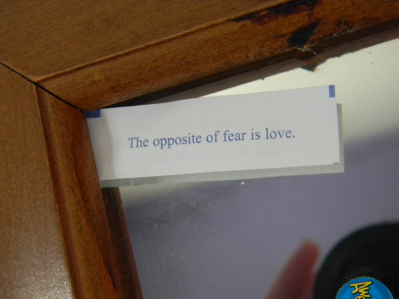 "The Opposite of Fear is Love." 