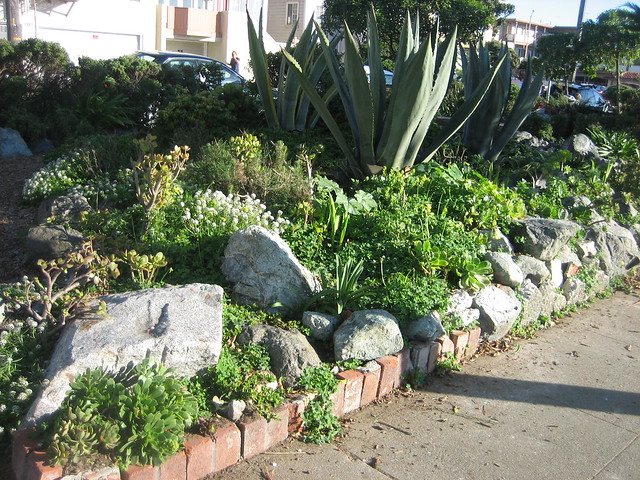 La Playa Succulent Garden
