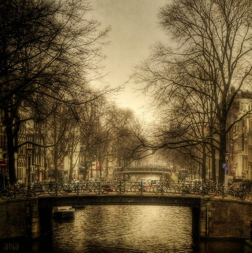 ams | by la morán -- ∂ŋ∂ --