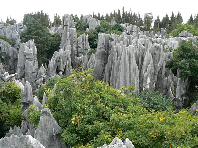 Shilin stone forest east of Kunming (China 2006)