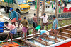 Kerala – rybí trh, foto: Daniel Linnert
