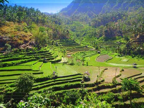 Bali