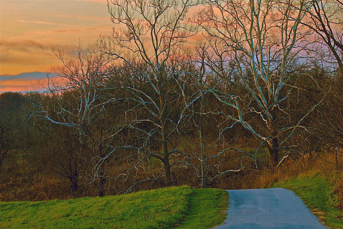 pink blue light sunset ohio orange green colors evening glow dusk cincinnati branches violet eveninglight sycamores tamron70300 glenwoodgardens