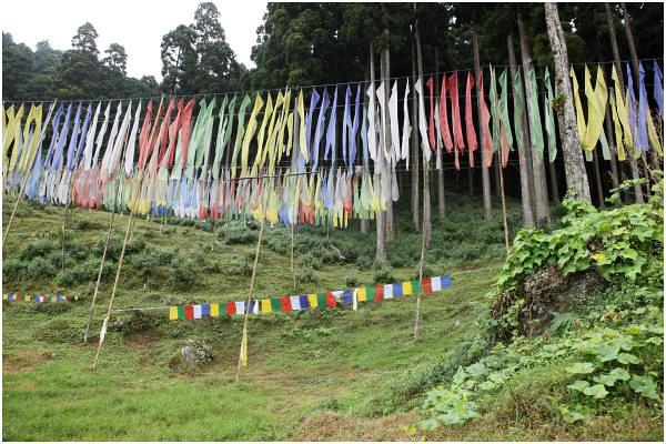 India Sikkim Travel Photography 