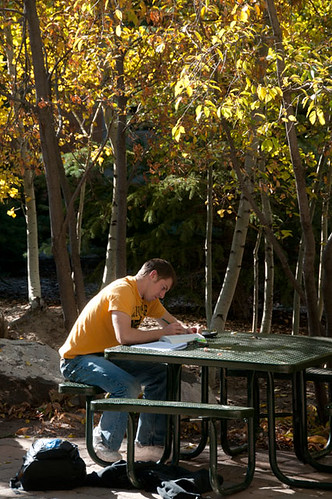Studying on Campus