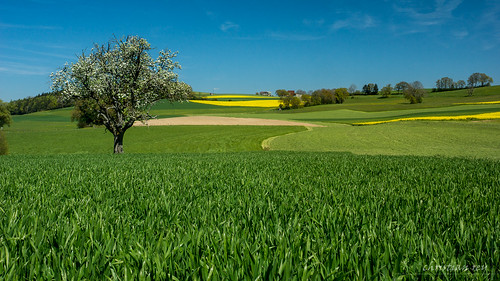 landscape schweiz switzerland suisse sony fribourg paysage campagne 77 printemps 1650 sarine lentigny alpaha corserey