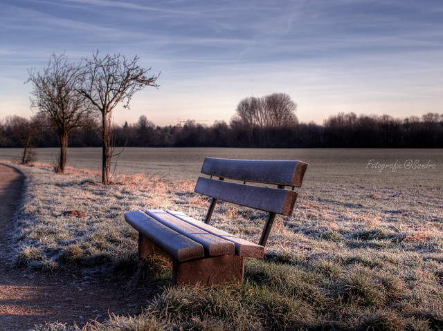 cold bench