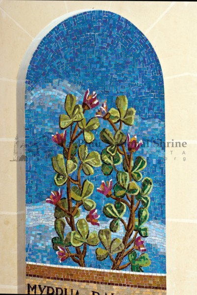 TPNS-mosaics00083 - Ta' Pinu mosaics