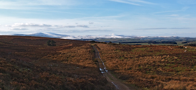 Road to The Cheviots