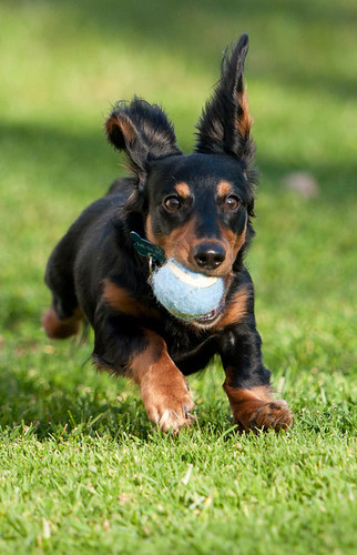 play catch | by 88 Photogr@phy
