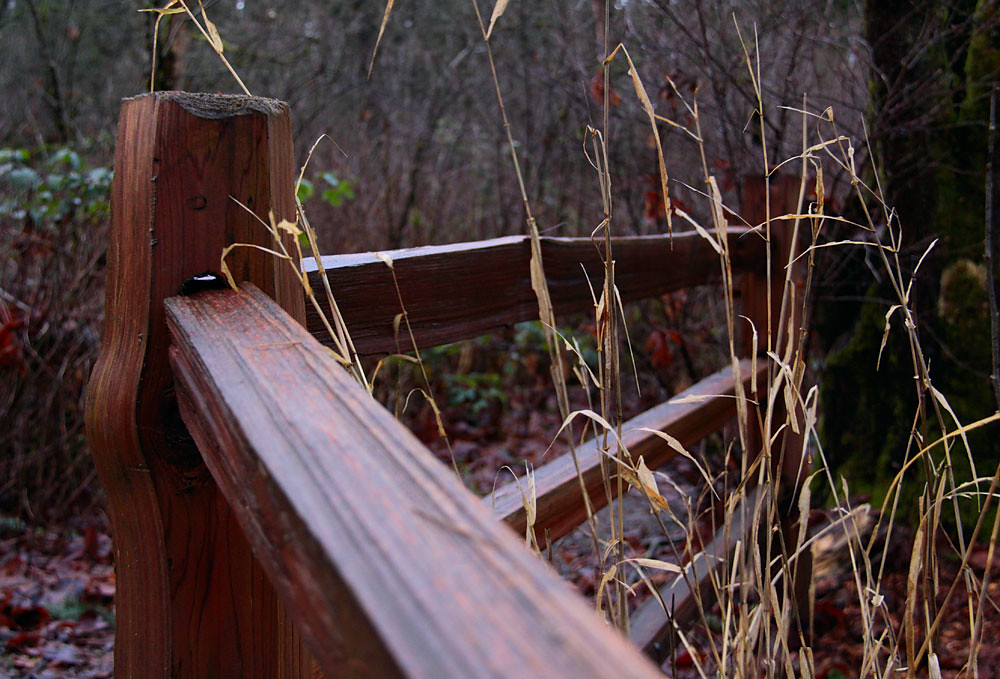 slick fence | Fleetwood park in Surrey, BC. 111230-39 | waferboard | Flickr